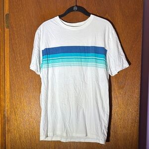 GAP White Tee with Blue and Teal Stripes